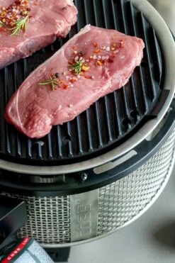 Cobb Grill Premier Gas Deluxe 2.0 - Gasgrill - Kartuschenanschluss - Modell 2023 15 Cobb Grill Premier Gas Deluxe 2.0 - Gasgrill - Kartuschenanschluss - Modell 2023 -Küchengrill Angebote Cobb Grasgrill Premier Deluxe 2 Griddle Grillplatte