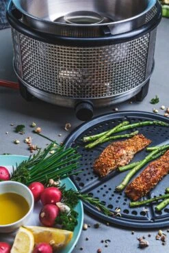 Cobb Grill Premier+ Gas Deluxe Gasgrill 30mbar - Modell 2023 -Küchengrill Angebote Cobb Grill Premier Plus Gas Deluxe Griddle