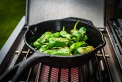 Grillfürst G621E 6-Brenner Edelstahl-Gasgrill Mit Hochtemperaturbrenner, Heckbrenner Und Edelstahl Rosten - X-DEAL Inkl. Zubehörpaket -Küchengrill Angebote Grillfuerst Gasgrill G621E Pimentos de Padron