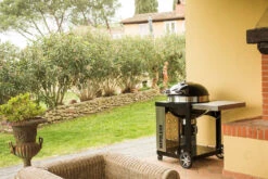 Napoleon Holzkohlegrill Kugelgrill Ø 57cm Im Rollwagen Mit Gussrost Und Deckelscharnier PRO22K-Cart-2 22 Napoleon Holzkohlegrill Kugelgrill Ø 57cm Im Rollwagen Mit Gussrost Und Deckelscharnier PRO22K-Cart-2 -Küchengrill Angebote napoleon grill terrasse PRO22K CART 2